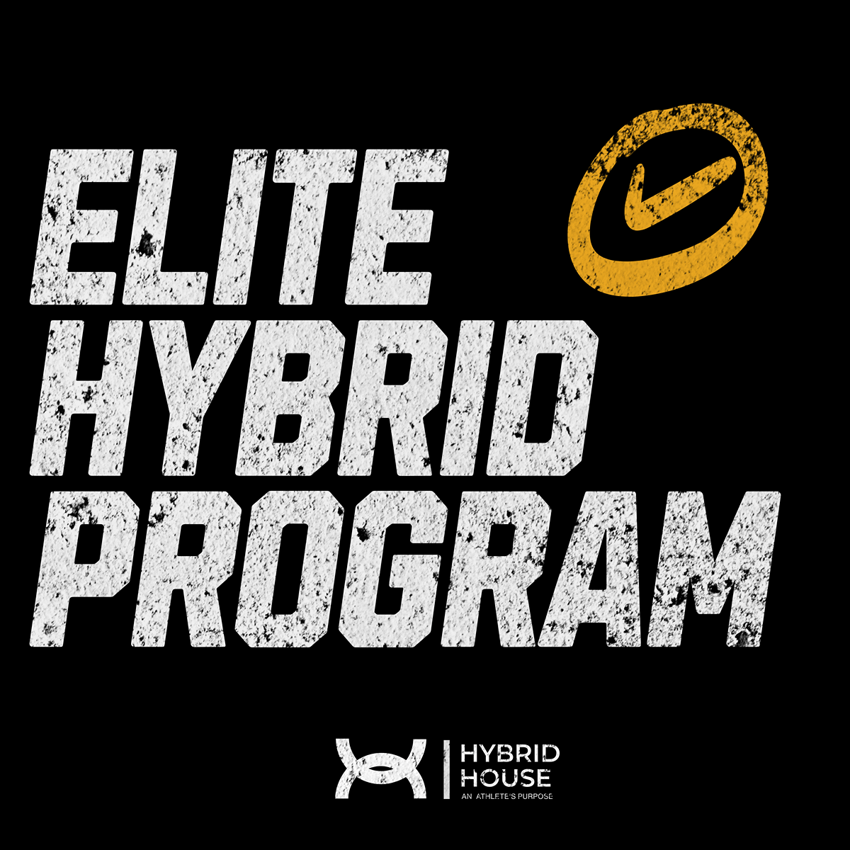 Elite Hybrid Program